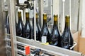 Bottling and sealing conveyor line at wine factory Royalty Free Stock Photo