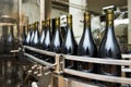 Bottling and sealing conveyor line at winery Royalty Free Stock Photo