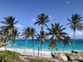 Bottom Bay in Barbados, Caribbean Royalty Free Stock Photo