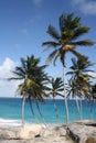 Bottom Bay Barbados Royalty Free Stock Photo