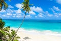 Bottom Bay, Barbados - Paradise beach on the Caribbean island of Barbados. Tropical coast with palms hanging over turquoise sea. Royalty Free Stock Photo