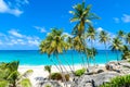 Bottom Bay, Barbados - Paradise beach on the Caribbean island of Barbados. Tropical coast with palms hanging over turquoise sea. Royalty Free Stock Photo