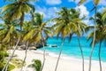 Bottom Bay, Barbados - Paradise beach on the Caribbean island of Barbados. Tropical coast with palms hanging over turquoise sea. Royalty Free Stock Photo