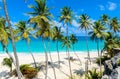 Bottom Bay, Barbados - Paradise beach on the Caribbean island of Barbados. Tropical coast with palms hanging over turquoise sea. Royalty Free Stock Photo