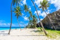 Bottom Bay, Barbados - Paradise beach on the Caribbean island of Barbados. Tropical coast with palms hanging over turquoise sea.