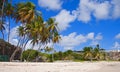 On Bottom Bay Beach, Barbados