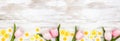 Bottom border of springtime flower decorations over a rustic white wood banner background Royalty Free Stock Photo