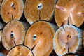 Log wood pile in close up Royalty Free Stock Photo