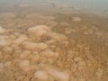 Bottom of the Dead Sea, Israel Royalty Free Stock Photo