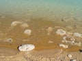 Bottom of the Dead Sea, Israel Royalty Free Stock Photo