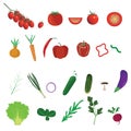 Collection of vegetables , different style designs, scalable vector set, healthy food