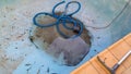 Bottom of drained swimming pool with just a little dirty water around the drain and a vacuum hose curled nearby with section of Royalty Free Stock Photo