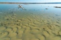 The bottom of the drying dead sea (Kuyalnik estuary, Odea region Royalty Free Stock Photo