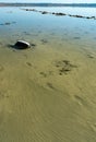 The bottom of the drying dead sea (Kuyalnik estuary, Odea region Royalty Free Stock Photo