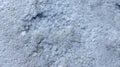 The bottom of the drying dead sea (Kuyalnik estuary, Odessa region), crystals of self-precipitating table salt
