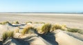 At the bottom of the dunes at the North Sea Royalty Free Stock Photo