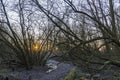 The bottom of the forrest Prielenbos is frozen when the sun rises over lake Zoetermeerse plas Royalty Free Stock Photo