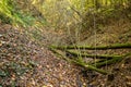 bottom of a gully landform