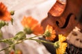 Bottom half of a violin with sheet music and flowers the front of the fiddle on windows background Royalty Free Stock Photo