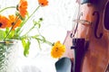 Bottom half of a violin with sheet music and flowers the front of the fiddle on windows background Royalty Free Stock Photo