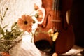 Bottom half of a violin with sheet music and flowers the front of the fiddle on windows background Royalty Free Stock Photo