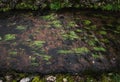 Bottom of irrigation canal in Shirakawa Village or Shirakawa-go, a Japanese traditional village