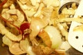 Vegetable scraps lies on the bottom of a sink