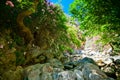 In the bottom of Kourtaliotiko gorge Royalty Free Stock Photo