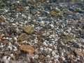 The bottom of lake Baikal at cape Khabartuy. White pebbles are fragments of white marble.