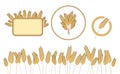 Bottom page wheat field, wheat frame and icon. design elements. Vector. Isolated illustration. Royalty Free Stock Photo