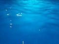 bottom of the pool at dusk, taking a dark blue tone with light reflections. Perfect for backgrounds