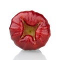 Bottom of red rose apple Royalty Free Stock Photo