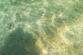 The bottom of the Rummu quarry with clear water and perches. Underwater photo Royalty Free Stock Photo