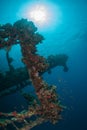 Bottom sunken ship wreck underwater