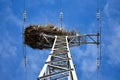 empty bird nest made with branches of trees at the top of an electrical tower of high voltage that conducts electricity to houses Royalty Free Stock Photo