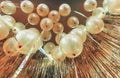 Bottom view Close up and abstract of vintage gold balloons for background and texture - used in background for party celebration Royalty Free Stock Photo