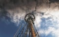 Bottom view of a crow nest Royalty Free Stock Photo