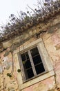 Bottom view of an empty dark window of an old abandoned house Royalty Free Stock Photo