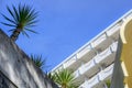 Bottom view of a fragment of a sanatorium building in a tropical park