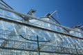 Bottom view of a greenhouse