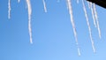 Bottom view of icicles melting under the early spring sun. Concept. Colors of nature, drops of water falling down from Royalty Free Stock Photo