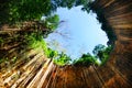 Bottom view of Ik-Kil cenote with hanging roots Royalty Free Stock Photo