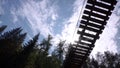 Bottom view of man on suspension bridge. Stock footage. Man walks on wooden suspension bridge on background of spruce Royalty Free Stock Photo