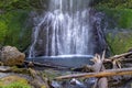 Bottom view of Marymere Falls waterfall in Olympic National Park, in the Lake Crescent area Royalty Free Stock Photo