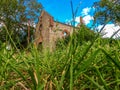 Bottom view of the medieval church under the green leaves. Stone masonry wall, wooden doors, arched windows. Ancient architecture Royalty Free Stock Photo