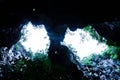 Bottom view, mysterious ancient cave entrance with tropical plants and white sky, sunlight beaming down into the cave. Abstract