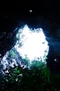 Bottom view, mysterious ancient cave entrance with tropical plants and white sky, sunlight beaming down into the cave. Abstract