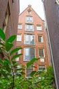 bottom view of narrow street and high house in Amsterdam. Historical, traditional and typical buildings and many plants are in the Royalty Free Stock Photo