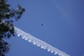 Bottom view of a soaring eagle against a blue sky. Bright sunny day. Wide wingspan Royalty Free Stock Photo