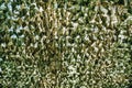 Bottom view of a stretched camouflage net with green leaves. Royalty Free Stock Photo